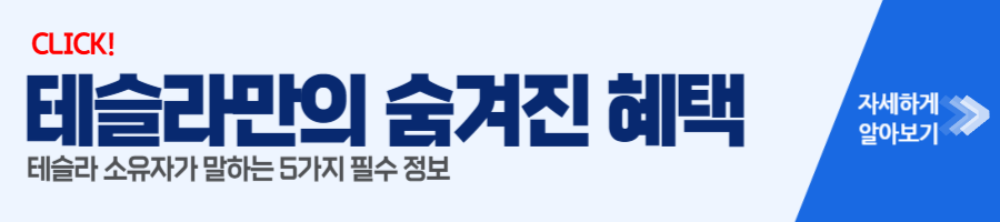 테슬라 혜택